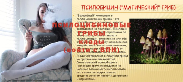 спайс Арсеньев