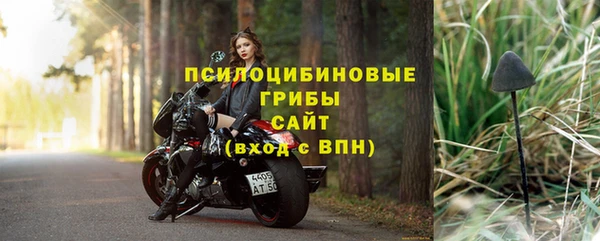 спайс Арсеньев