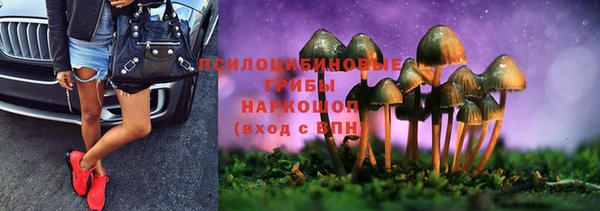 спайс Арсеньев