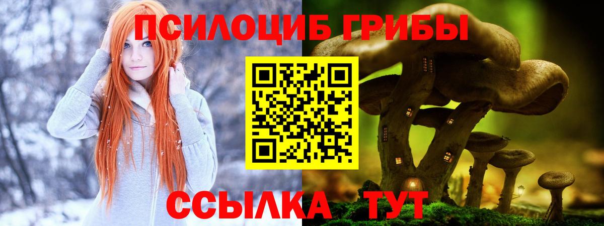 Губаха  Галлюциногенные грибы Psilocybine cubensis  Вход с VPN 